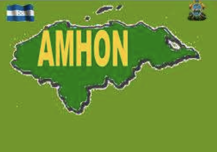AMHON