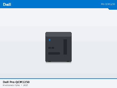 Dell Pro QCM1250